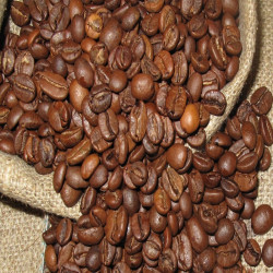 Kodagu Arabica Coffee