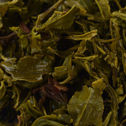 Himalayan Harvest - Green Tea